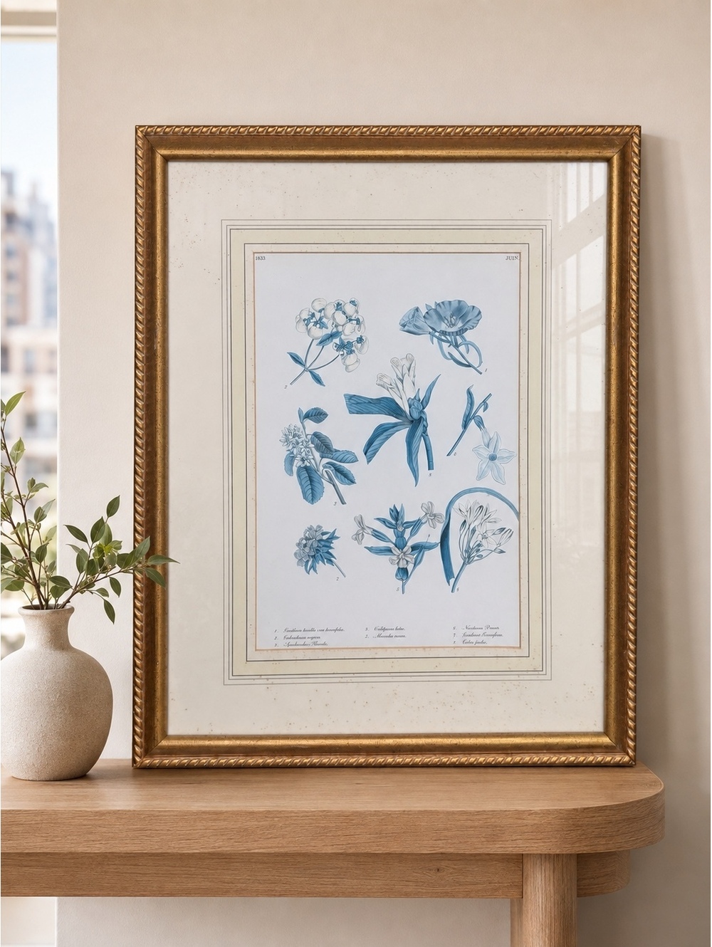 Vintage Framed Blue Botanical Print – 1833 Botanical Register – Gilt Frame
